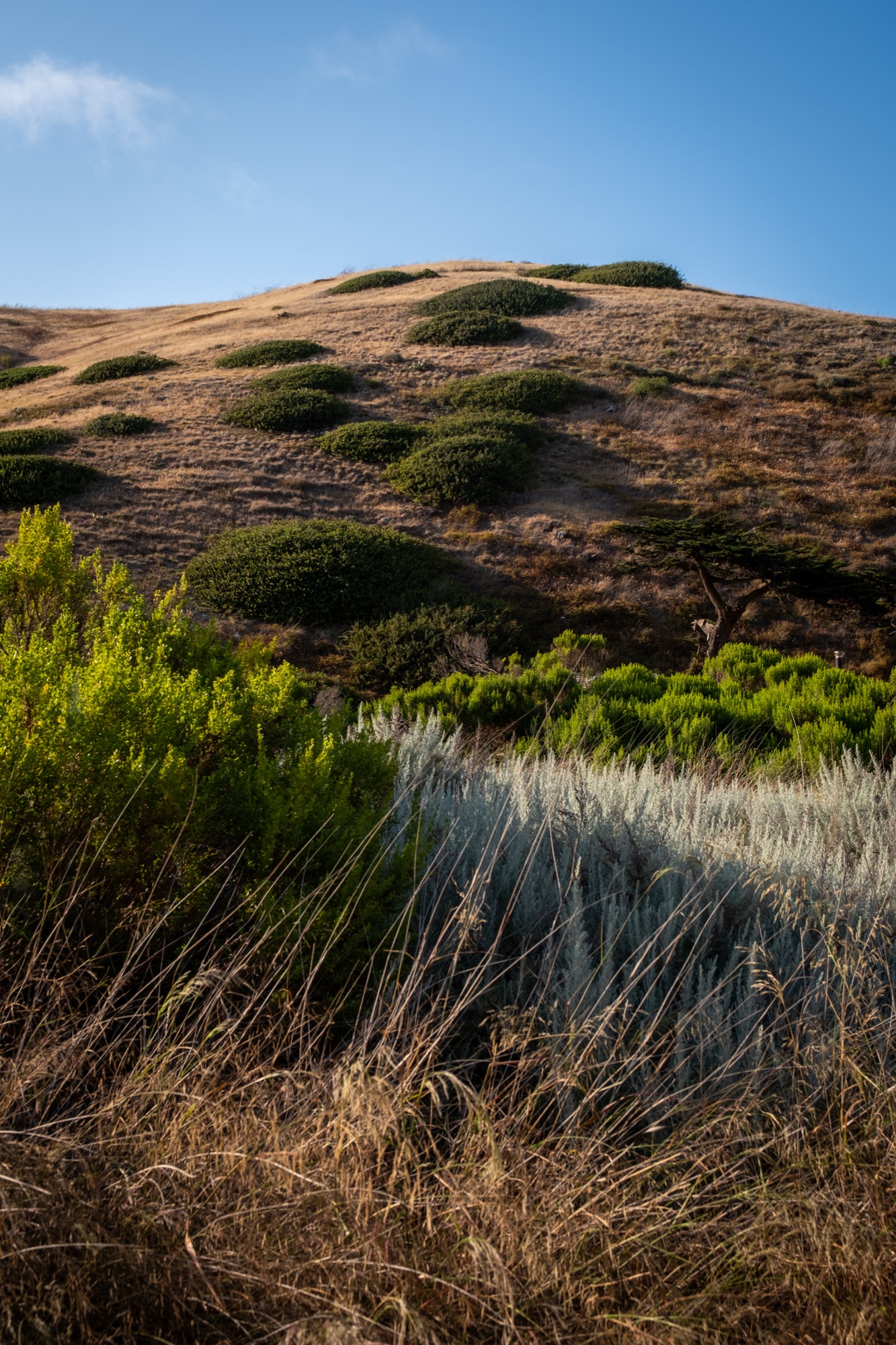 Channel Islands