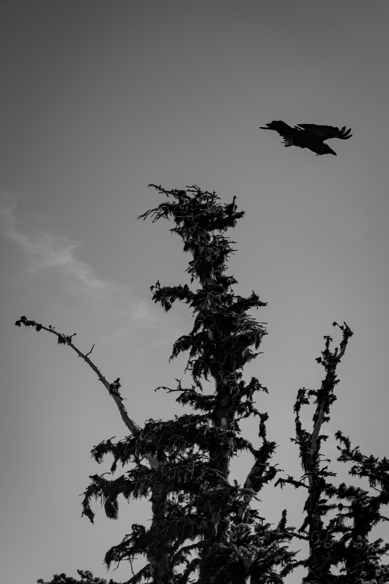 Pacific Northwest