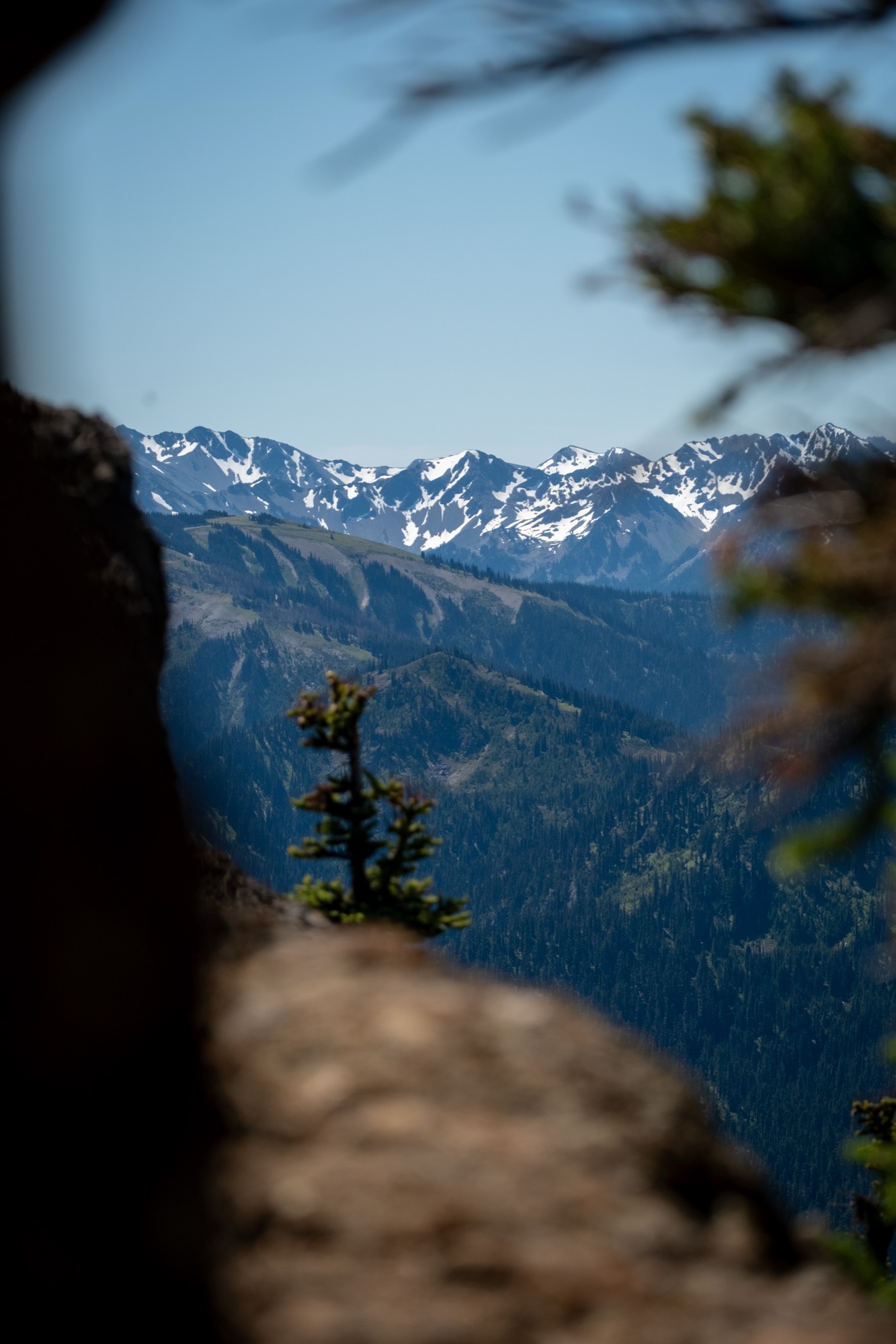 Pacific Northwest