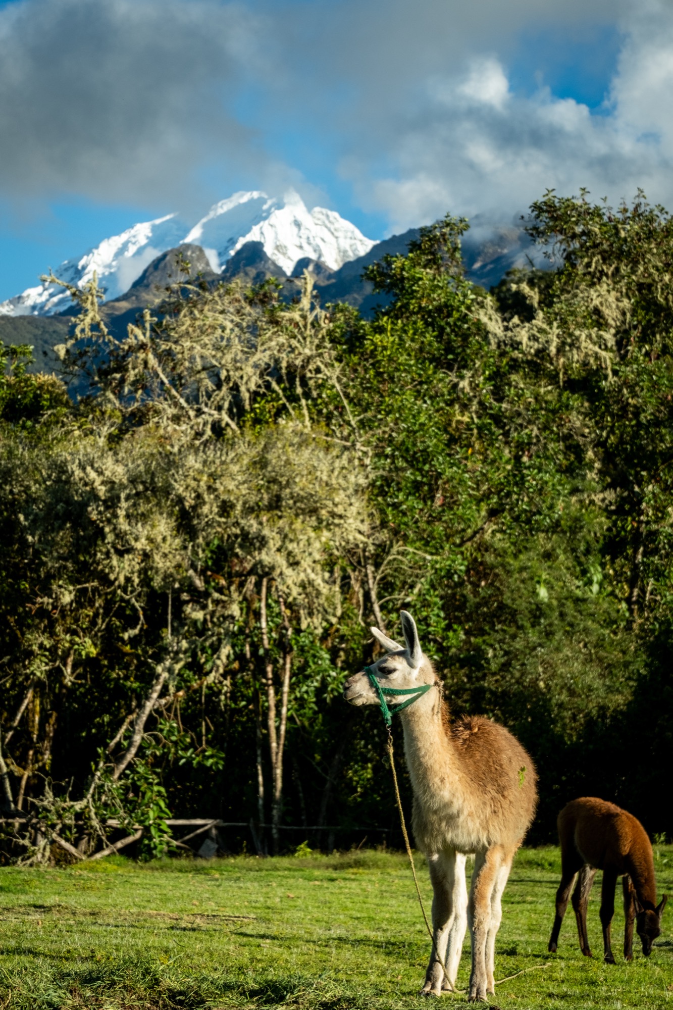 Peru