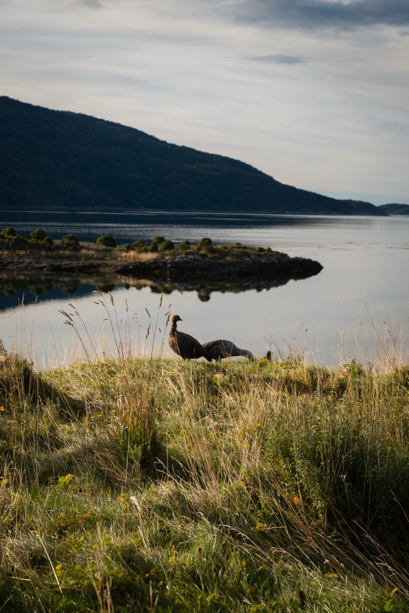 Ushuaia